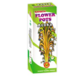  Flower Pots Ashoka (5 Boxes)