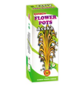  Flower Pots Ashoka (5 Boxes)